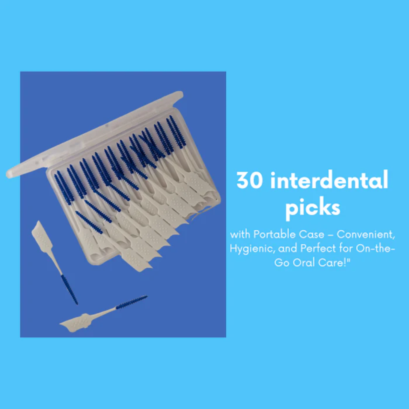 Dental Hygiene Kit, Portable Toothbrush, Toothpaste, Floss, Interdental Picks, Mints