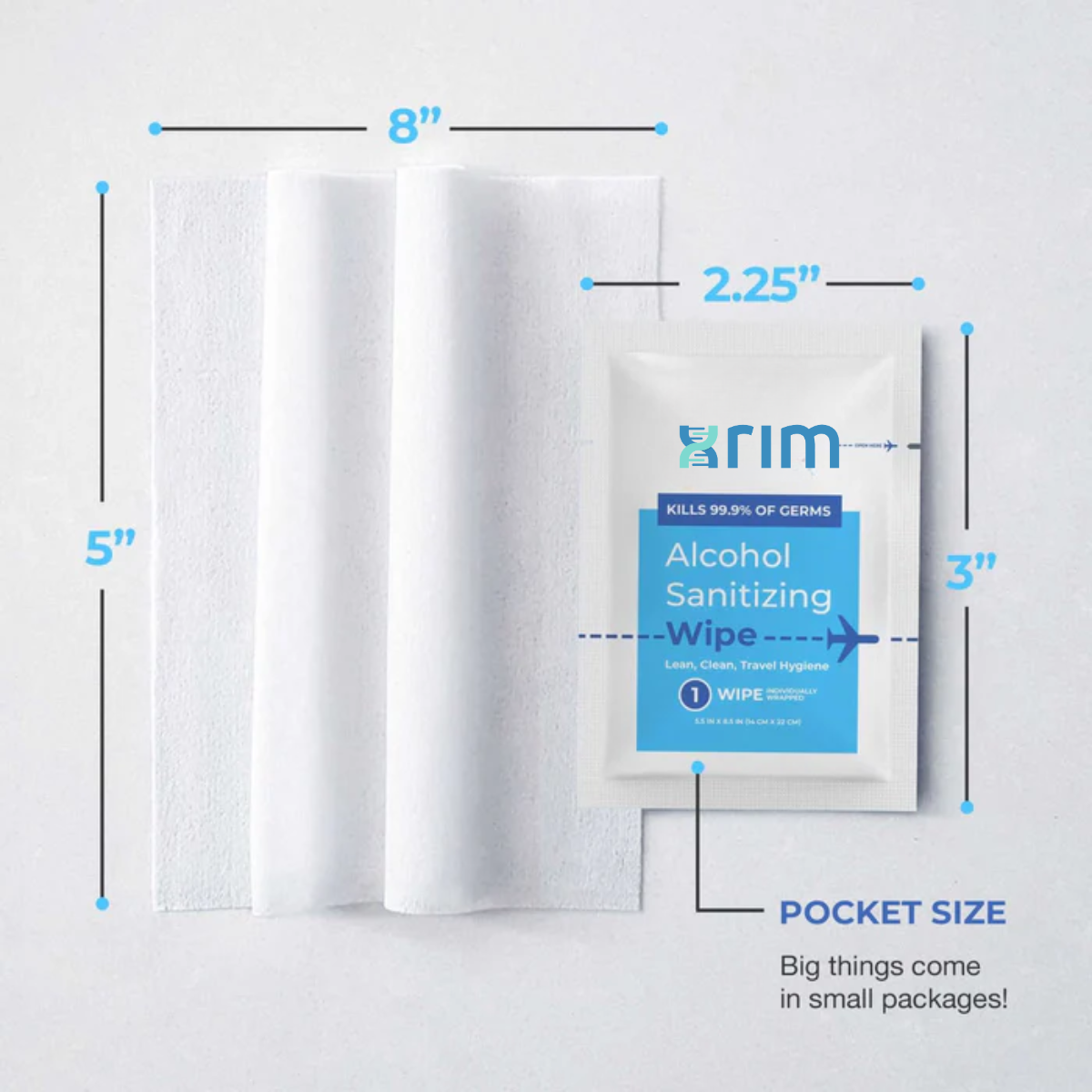 Travel Sanitizing Wipes | 10 Count (1 Pack of 10)