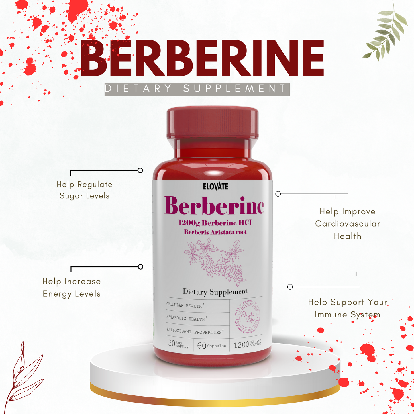 Berberine HCI Berberis Aristata Root Capsules Natural, High Absorption, 1200mg (120 Day Supply, 120 Capsules)