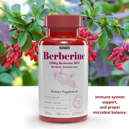 Berberine HCI Berberis Aristata Root Capsules Natural, High Absorption, 1200mg (120 Day Supply, 120 Capsules)