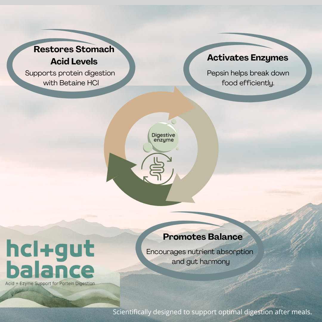 XRIM HCl+ Gut Balance – Betaine HCl with Pepsin | Digestive Enzyme & Stomach Acid Support for Protein Digestion – 180 Capsules (2 BOTTLES)