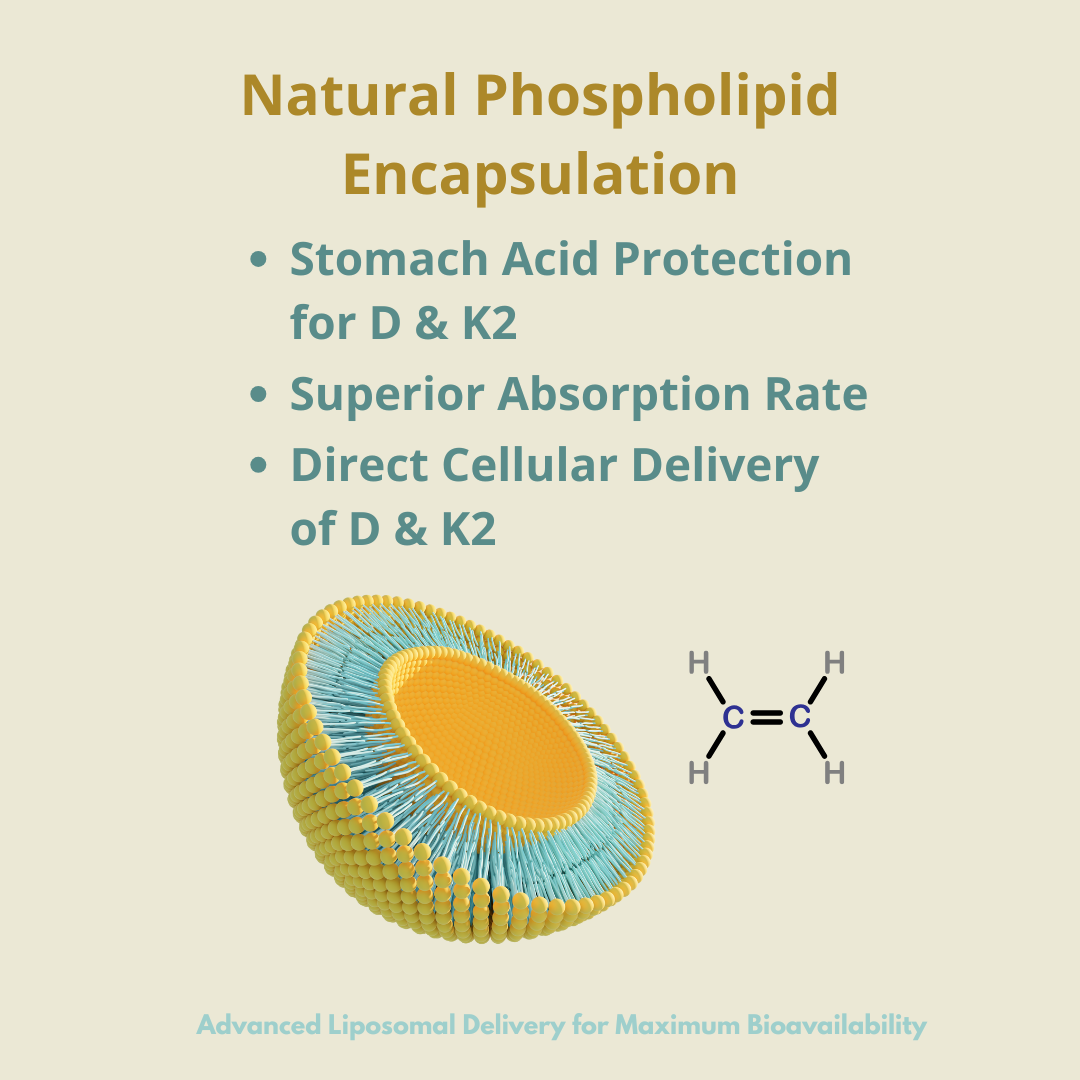 LipoD3 Complex – Liposomal Vitamin D3 5000 IU + K2, Selenium & CoQ10 | High Absorption Liquid Supplement – 60 Servings (2 bottles)